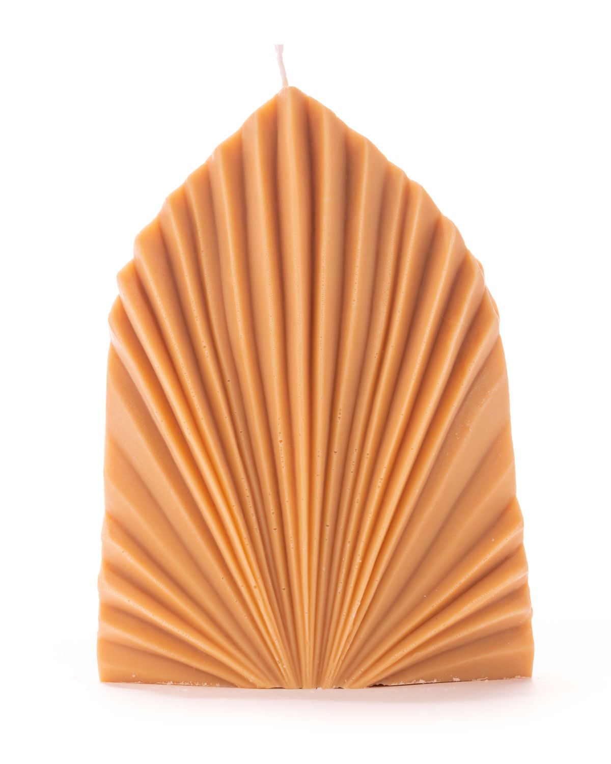 Apricot Shell Candle