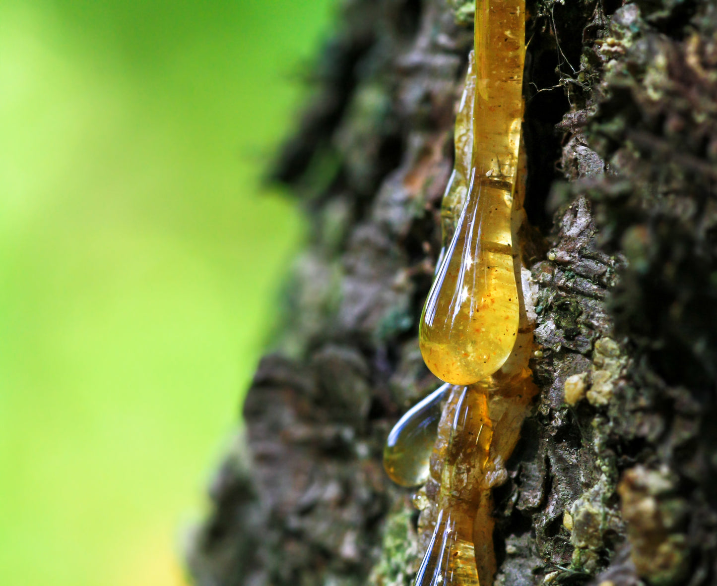 Amber Nectar Room Spray