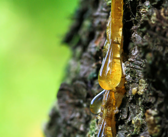 Amber Nectar Room Spray