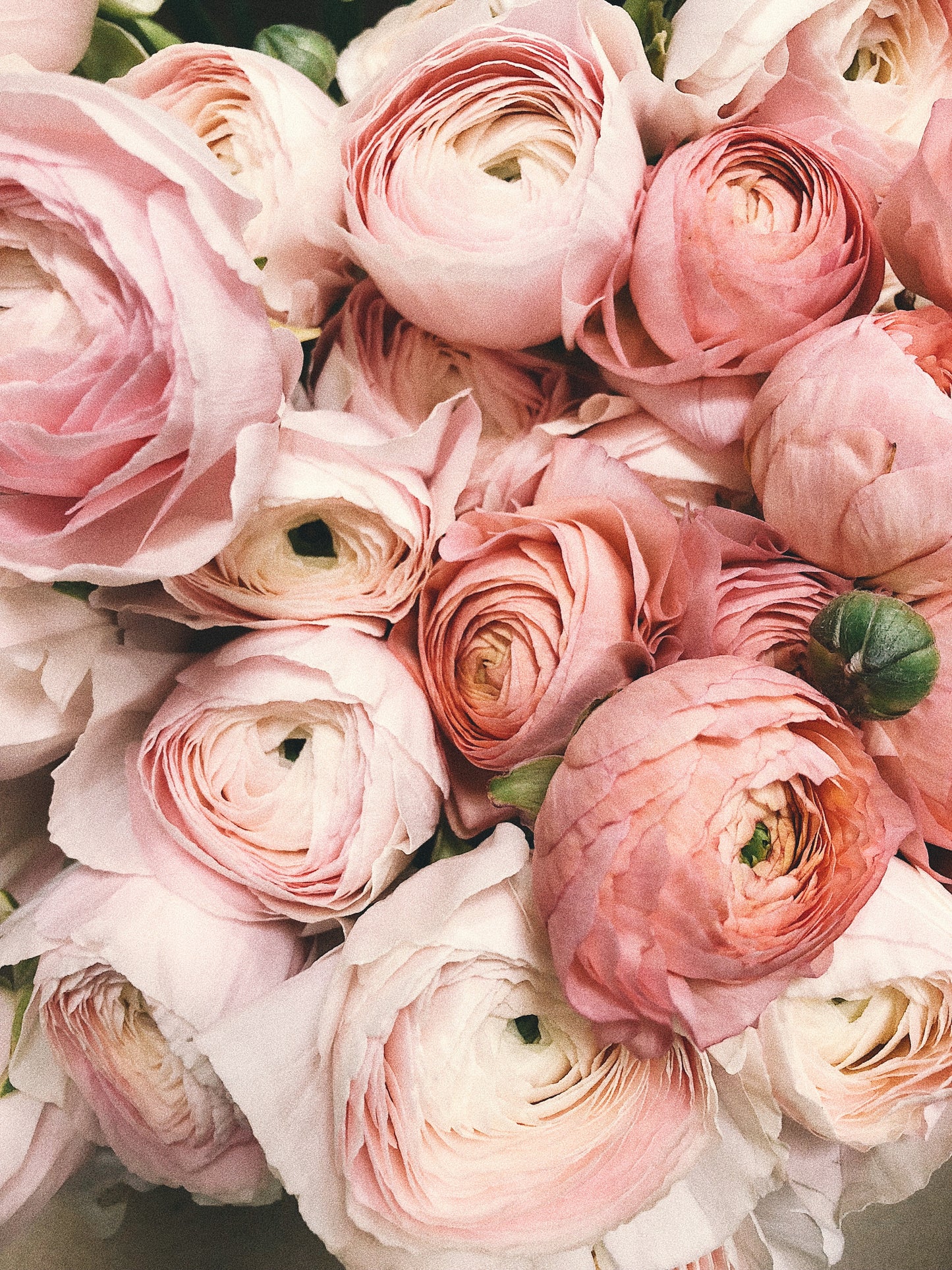 Vibrant Peony Bath Salt